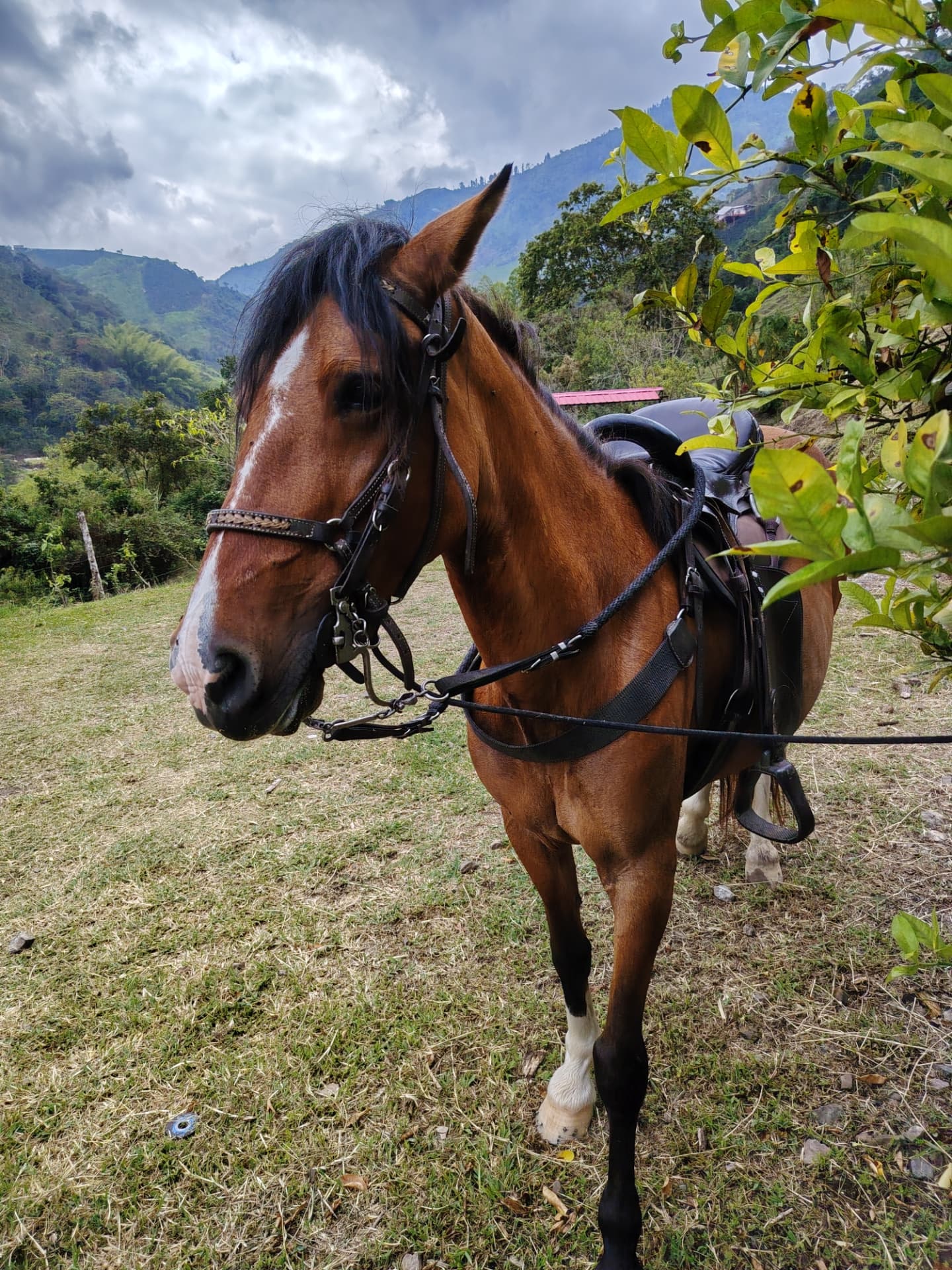 Cabalgata por Río Claro o El Avión