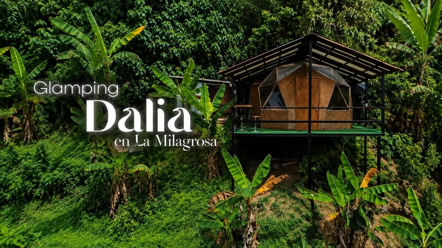 Dalia