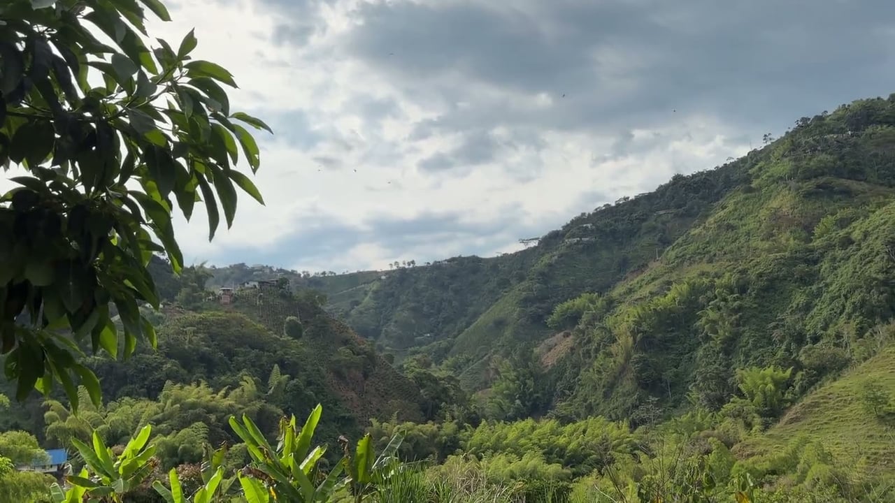 La Milagrosa Glamping en Villamaría, Caldas