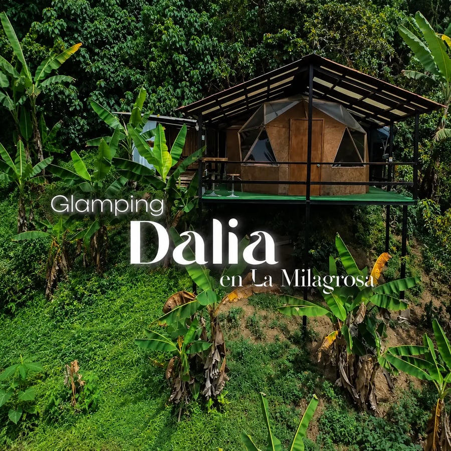 Dalia